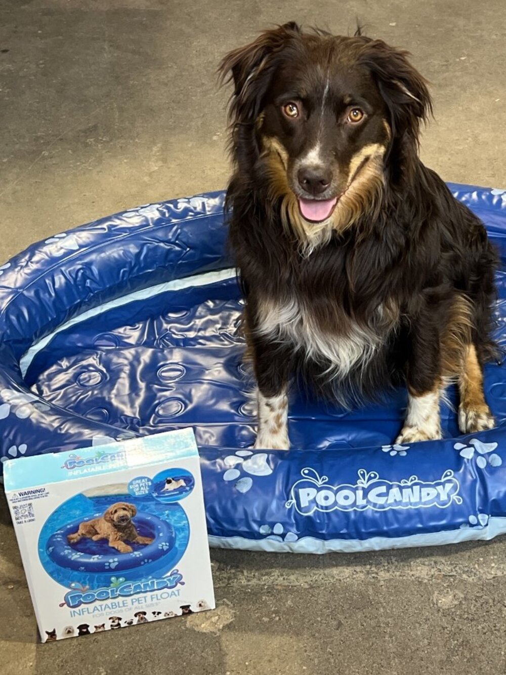 Brand New Pool Candy Inflatable Pet Float - 100 lb. Capacity!